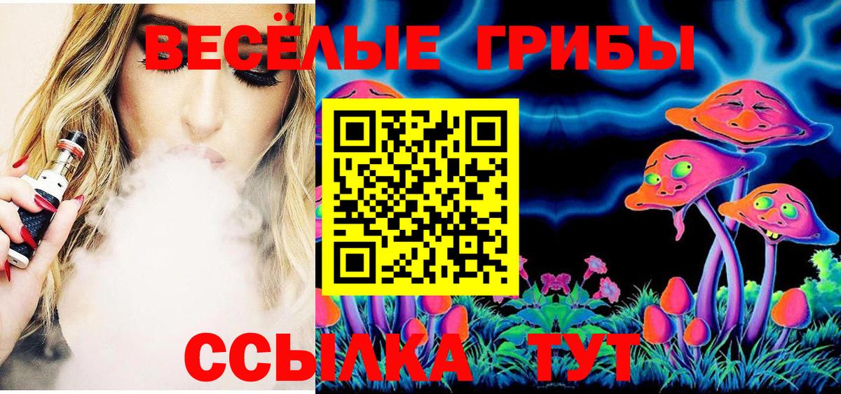Галлюциногенные грибы Psilocybine cubensis Железногорск