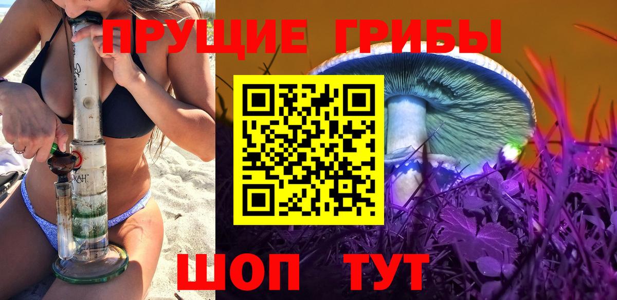 Железногорск  Галлюциногенные грибы ЛСД  Вход с VPN 